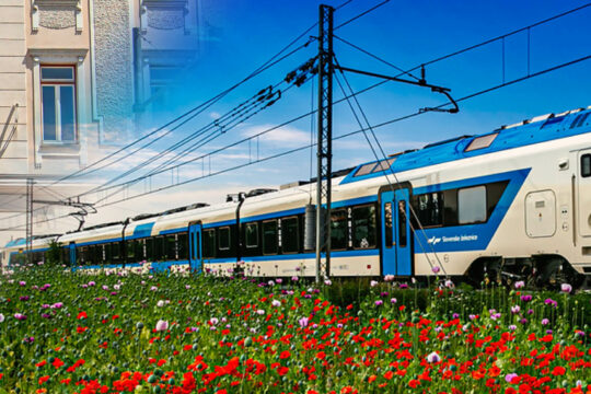 Vlak med vožnjo in cvetje ob progi.