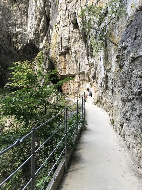 Z vlakom smo pobegnili v Škocjanske jame