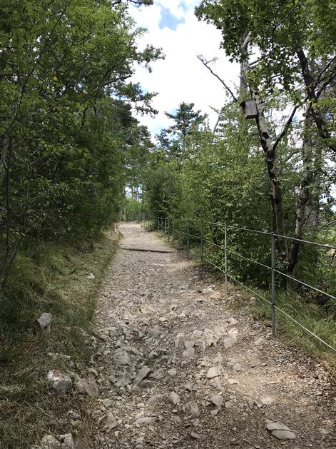 Z vlakom smo pobegnili v Škocjanske jame