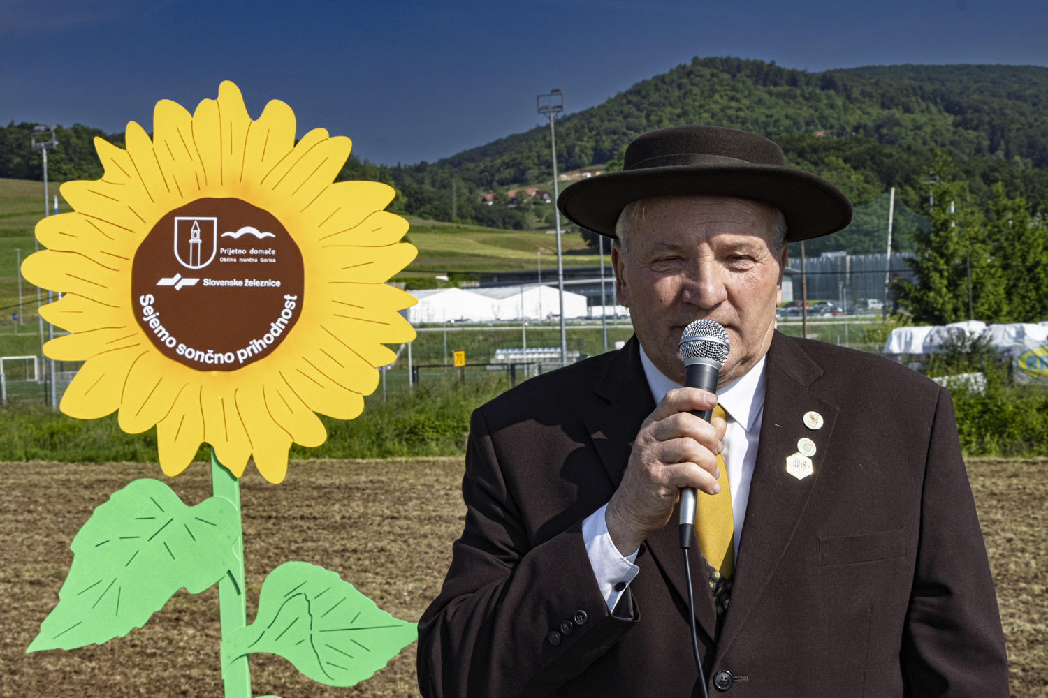 Sejanje sončnic (Ivančna Gorica)