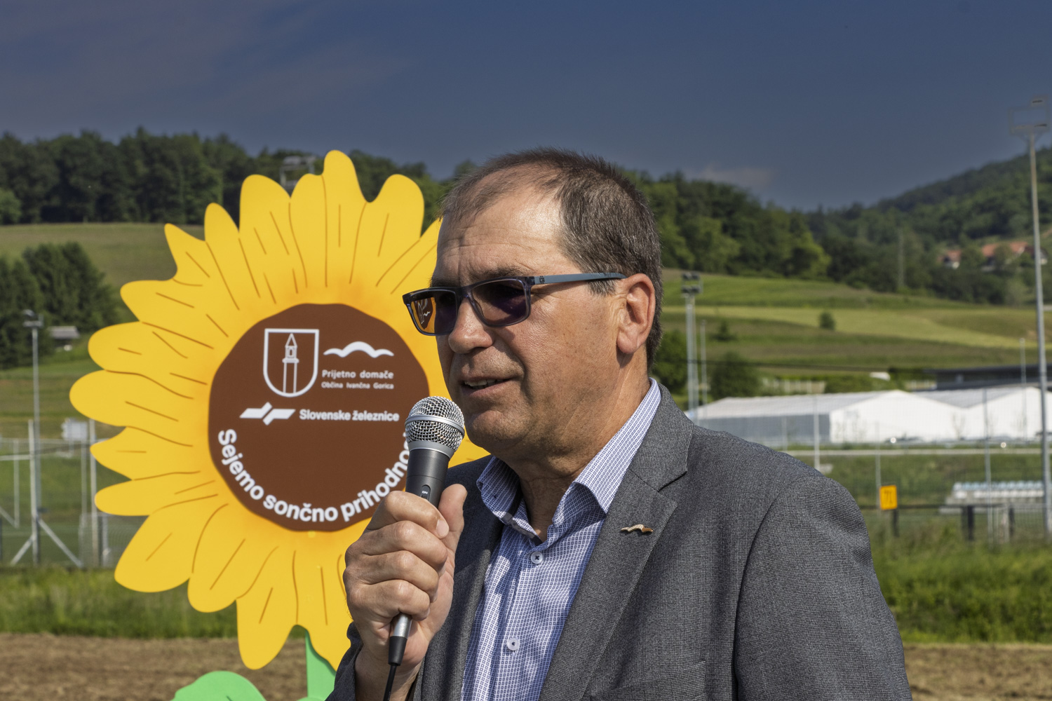 Sejanje sončnic (Ivančna Gorica)