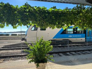 Vlak Stadler 610 v Puli.