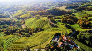 Ormož, Jeruzalemske gorice