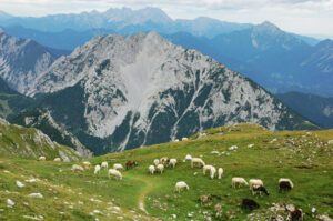 Planine in gore.