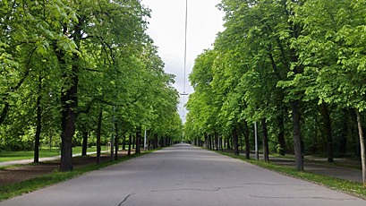Dunaj avenija v Prater