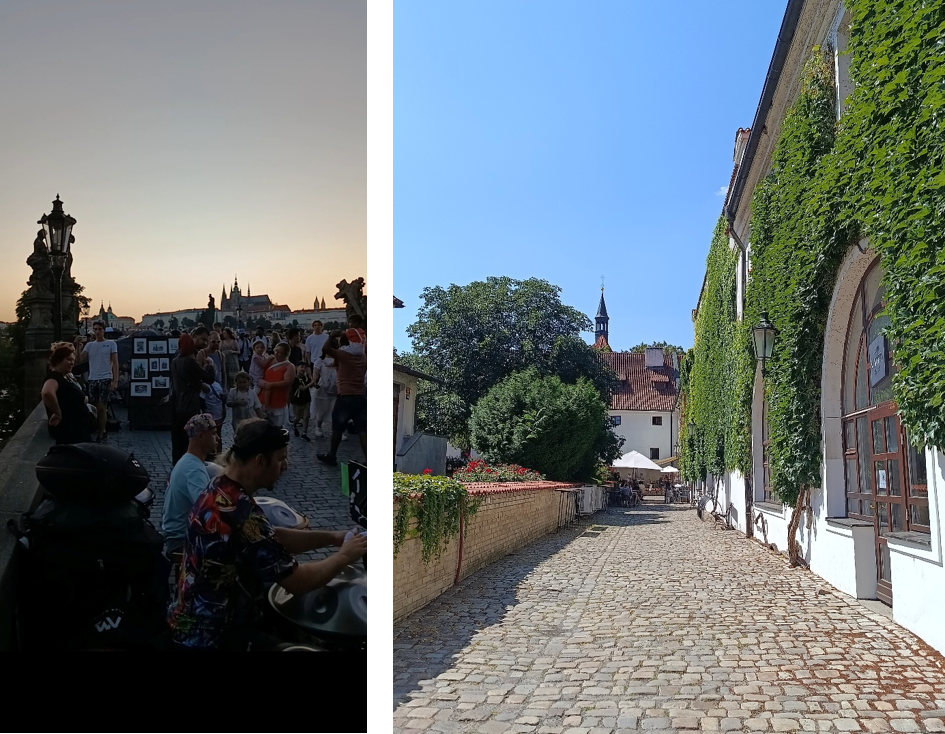 Vozovnica v roki, Praga na dlani